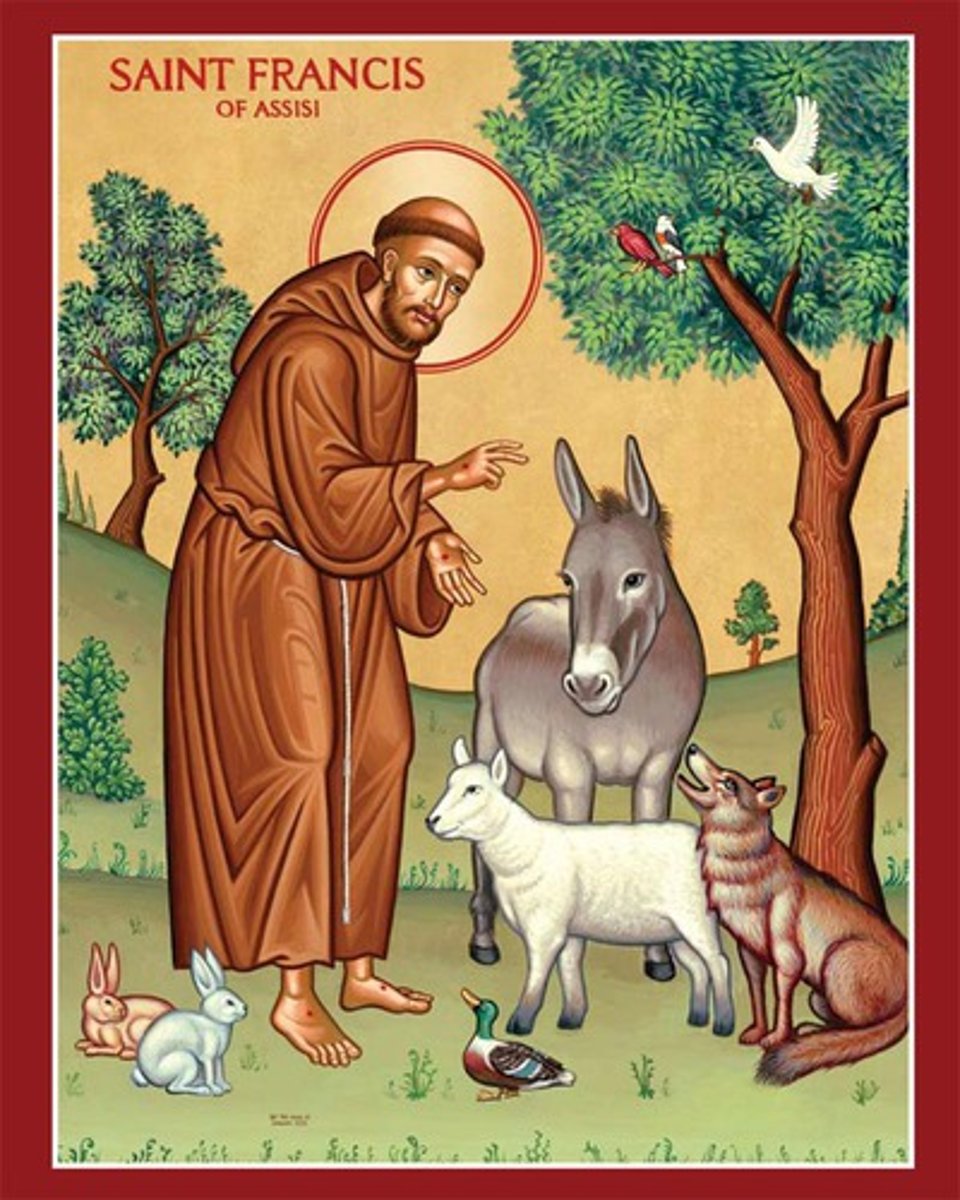 <p>A man of the church that traveled around Italy spreading the belief of poverty, humility and the love of God. He spoke for reform of the Catholic Church. Later started the Franisican order</p>
