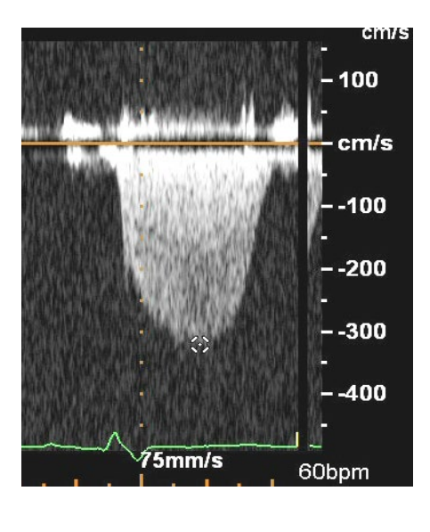 <p>what does this image show?</p>