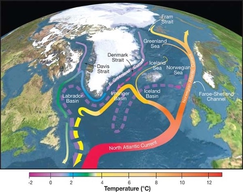 <p>Potential impact of Greenland ice loss on AMOC:</p>