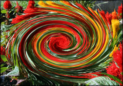 <p>a state of great confusion or disorder; mental strain or agitation</p>