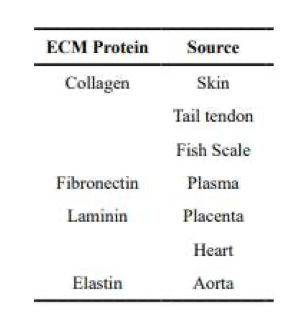 <p>sources for isolating ECM protein </p>