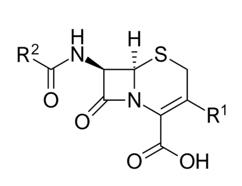 <p>What is this the chemical structure for?</p>