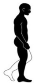 <p>what phase and step number is this?</p>