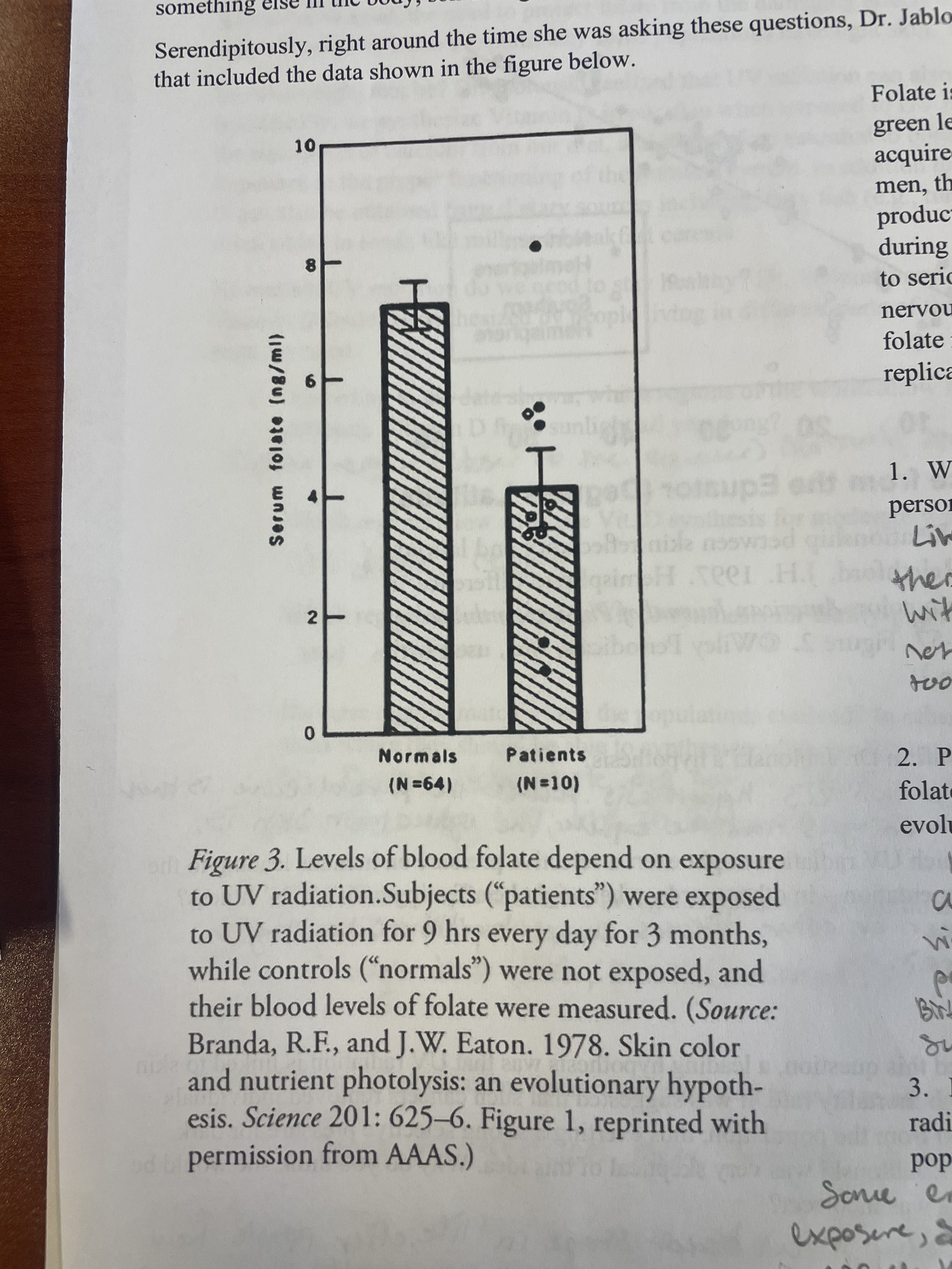 <p>living in an environment where there is not a lot of plants with vitamin B</p><p>not eating enough vitamin B</p><p>too much UV exposure </p>