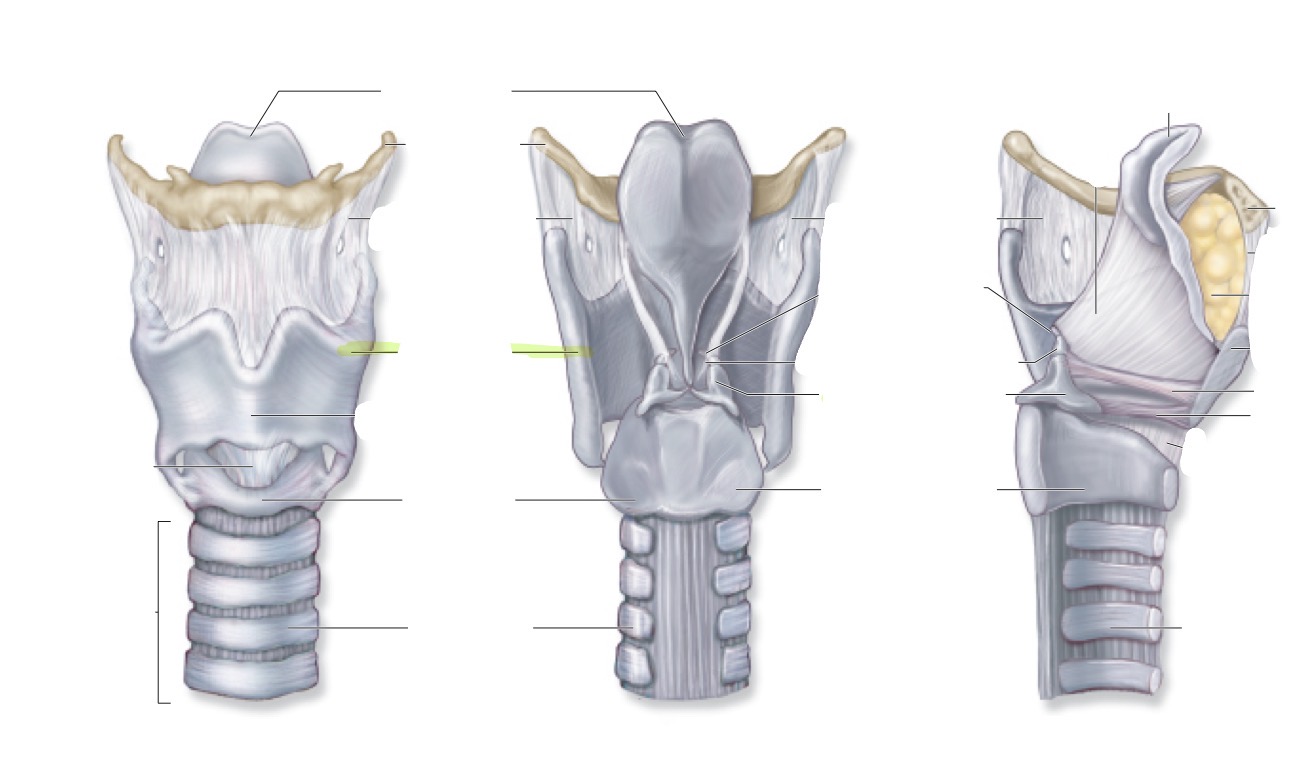 <p>what is this </p>