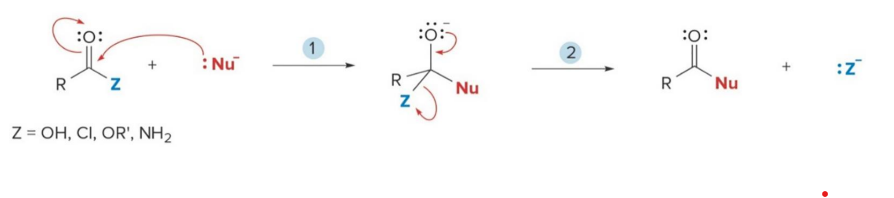 <p>substitution products</p>