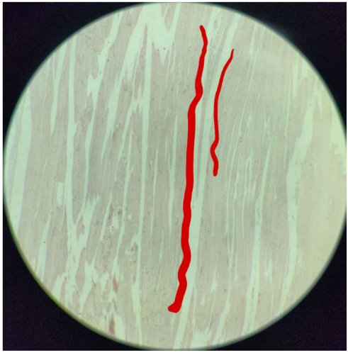 term image