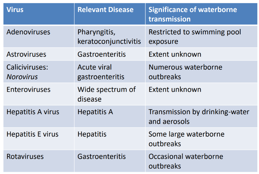 <p>List all <strong>Waterborne Viruses</strong></p>