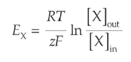 <p>What equation is this? </p>