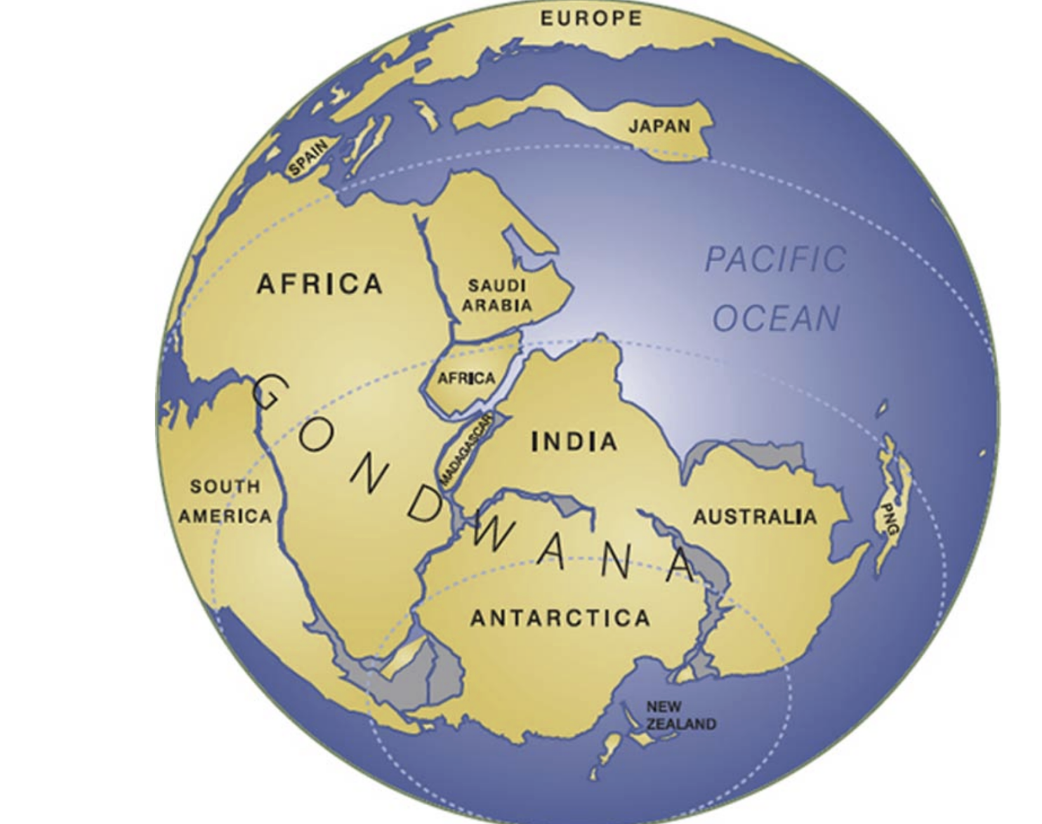 <p>most of today’s Southern Hemisphere continents, such as South America, Africa, Antarctica, Australia, India, Arabia, and Madagascar</p>
