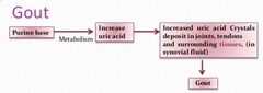<p>Crystallization and deposition in joints, leading to gout attacks.</p>
