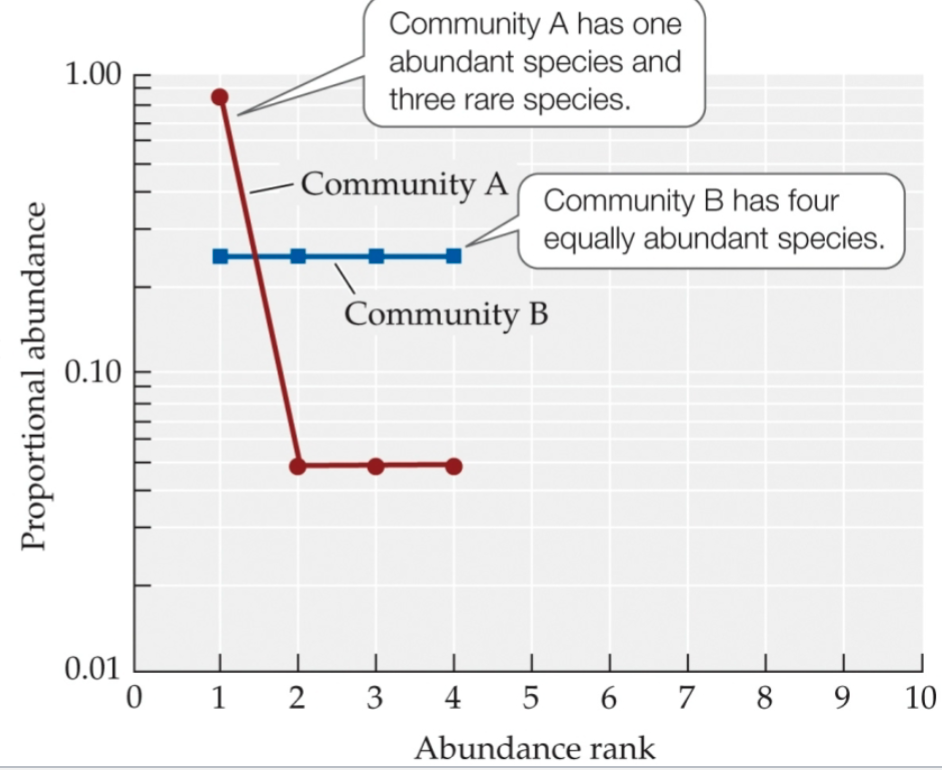 <p>Define and graph rank abundance and species accumulation relationships. </p>