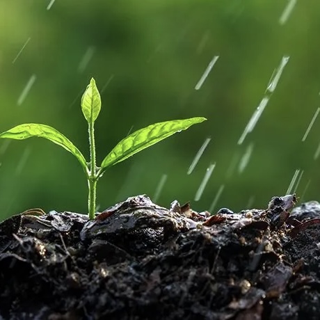 <p><span><span>Quelle molécule naturelle est responsable de l’odeur de terre humide après la pluie ?</span></span></p>