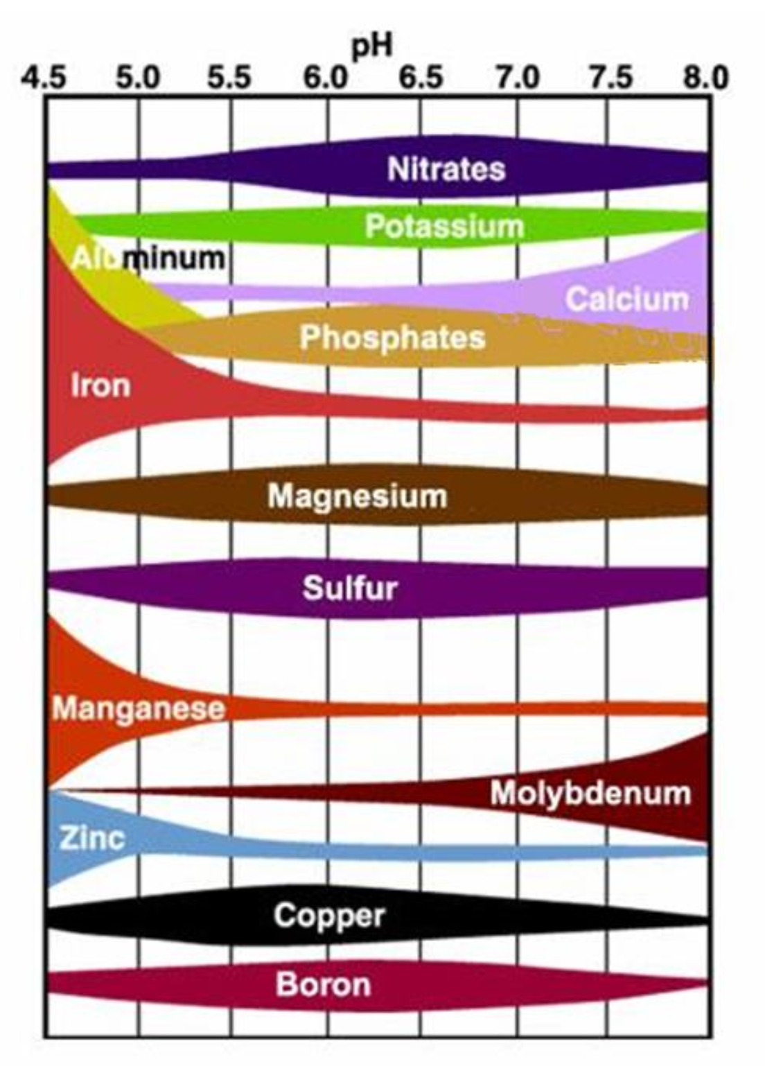 <p>The pH of South FL soils is</p><p class="p1">about 8.0. Based only on</p><p class="p1">pH, which nutrient below</p><p class="p1">would you most likely need</p><p class="p1">to add to the soil in your</p><p class="p1">South Florida garden ?</p>