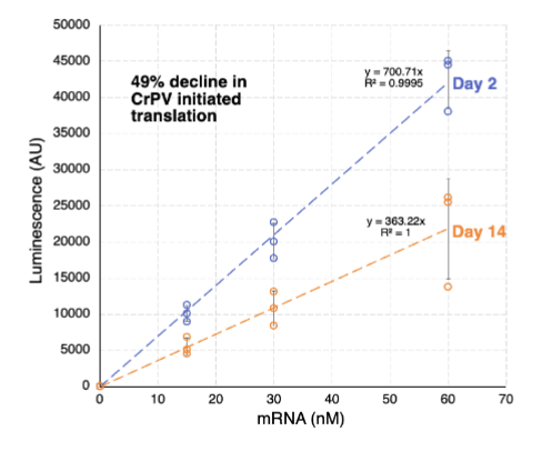 <ul><li><p>yes</p></li><li><p>aged oocyte ribosomes are ~50% less active</p></li></ul><p></p>