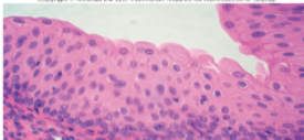 <p>Slide 8</p>