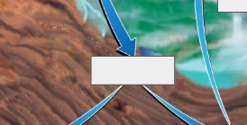 <p>Carbon cycle: name the step</p>