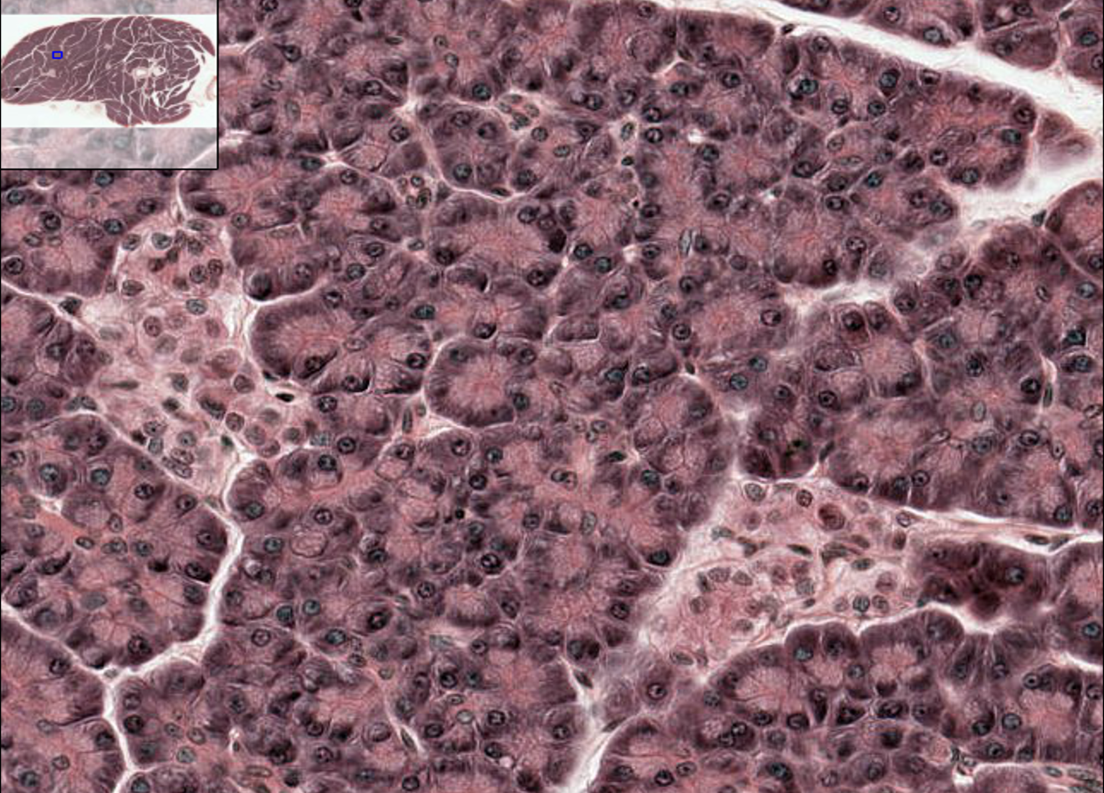 <p>What structure is this?</p>