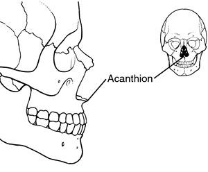 <p>junction of nose &amp; upper lip</p>