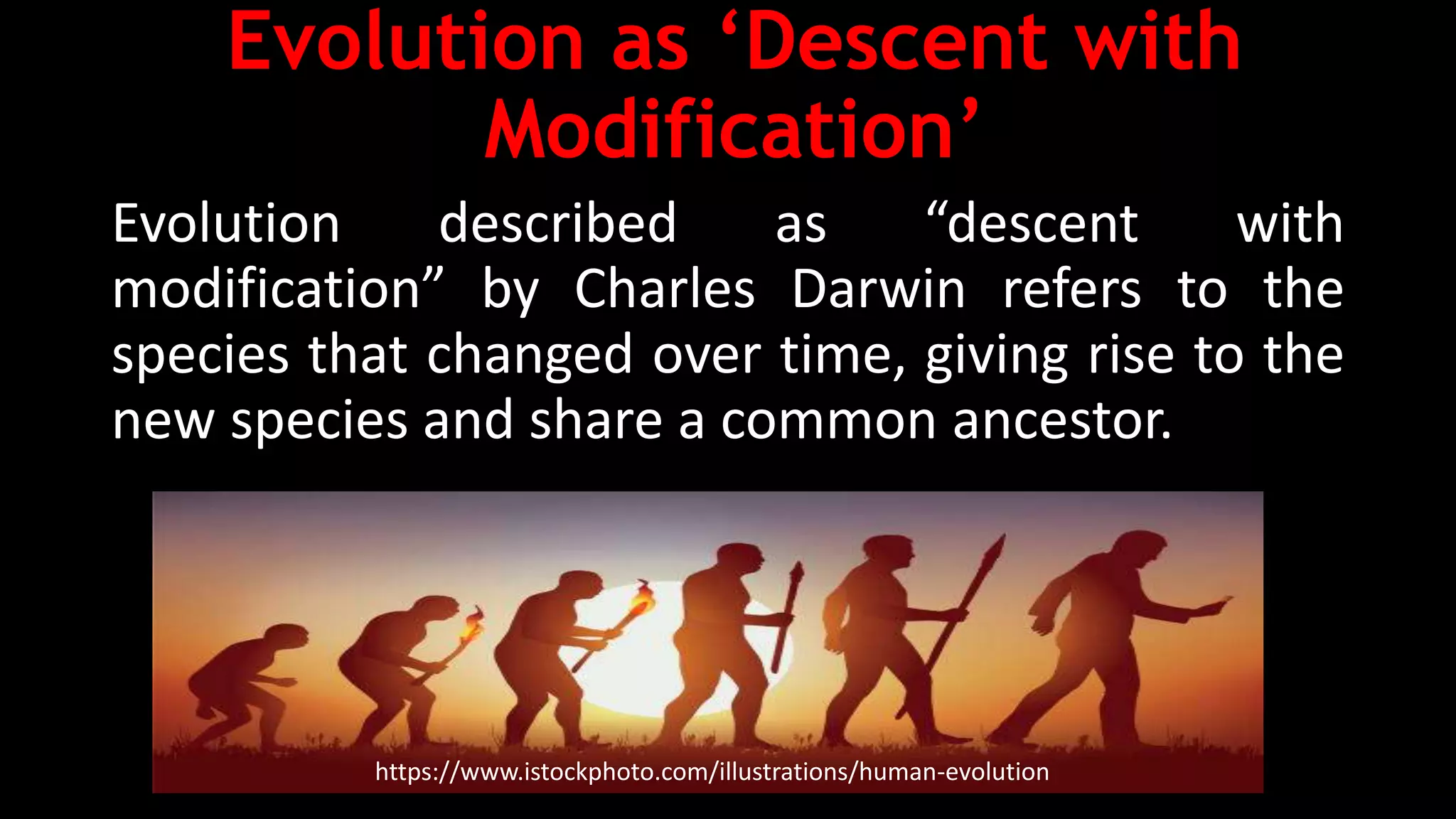 <p>Descent with Modification</p>