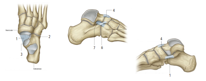 <p>1?2?</p>