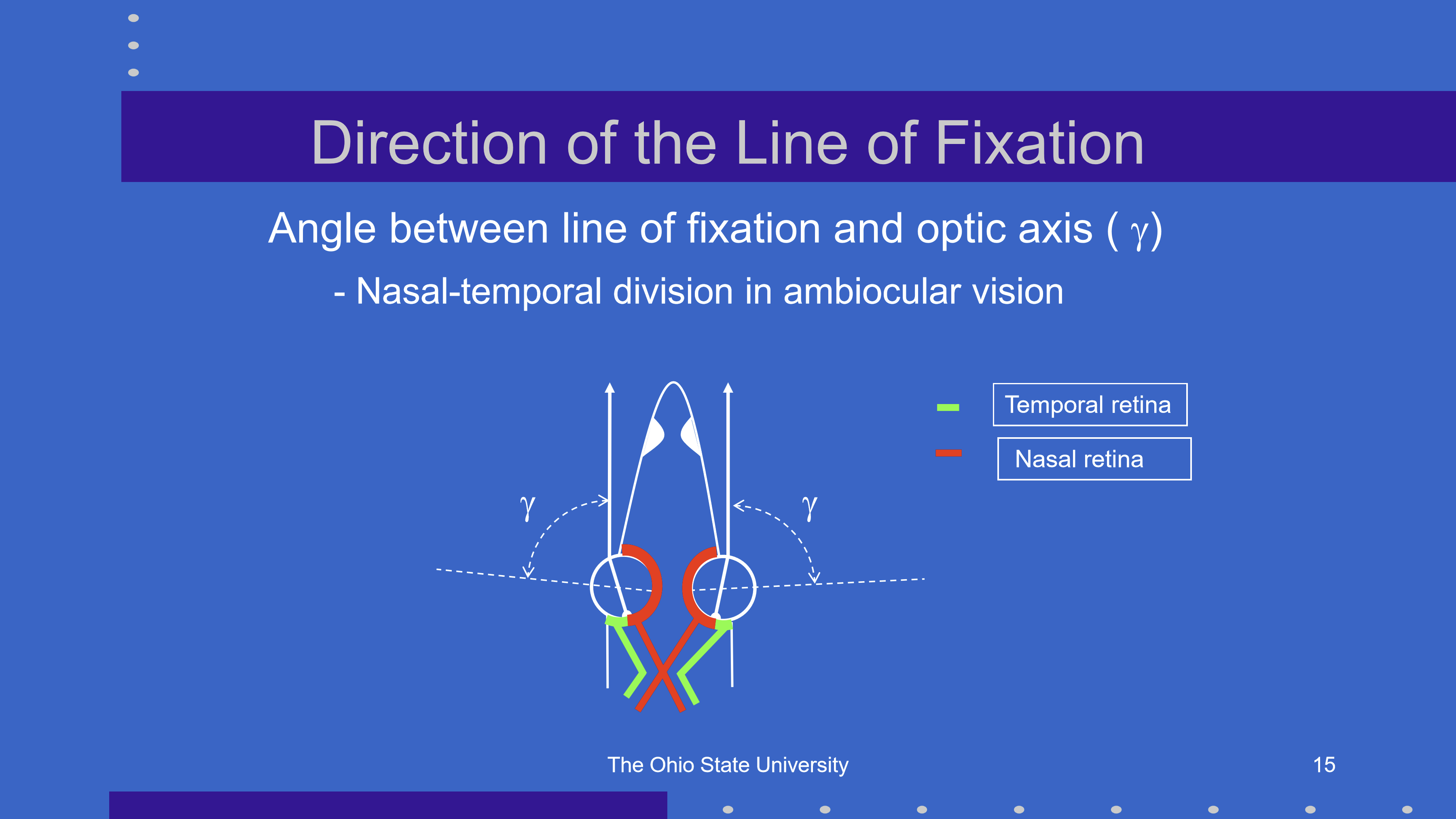 <p>γ (gamma) is the angle between the line of fixation and the optic axis of the eye.</p>