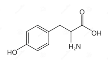 <p>planar aromatic</p>