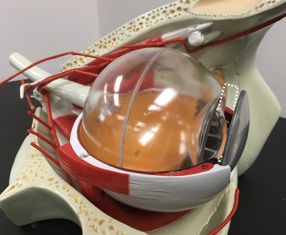 <p><span>name the SPACE indicated.</span></p>