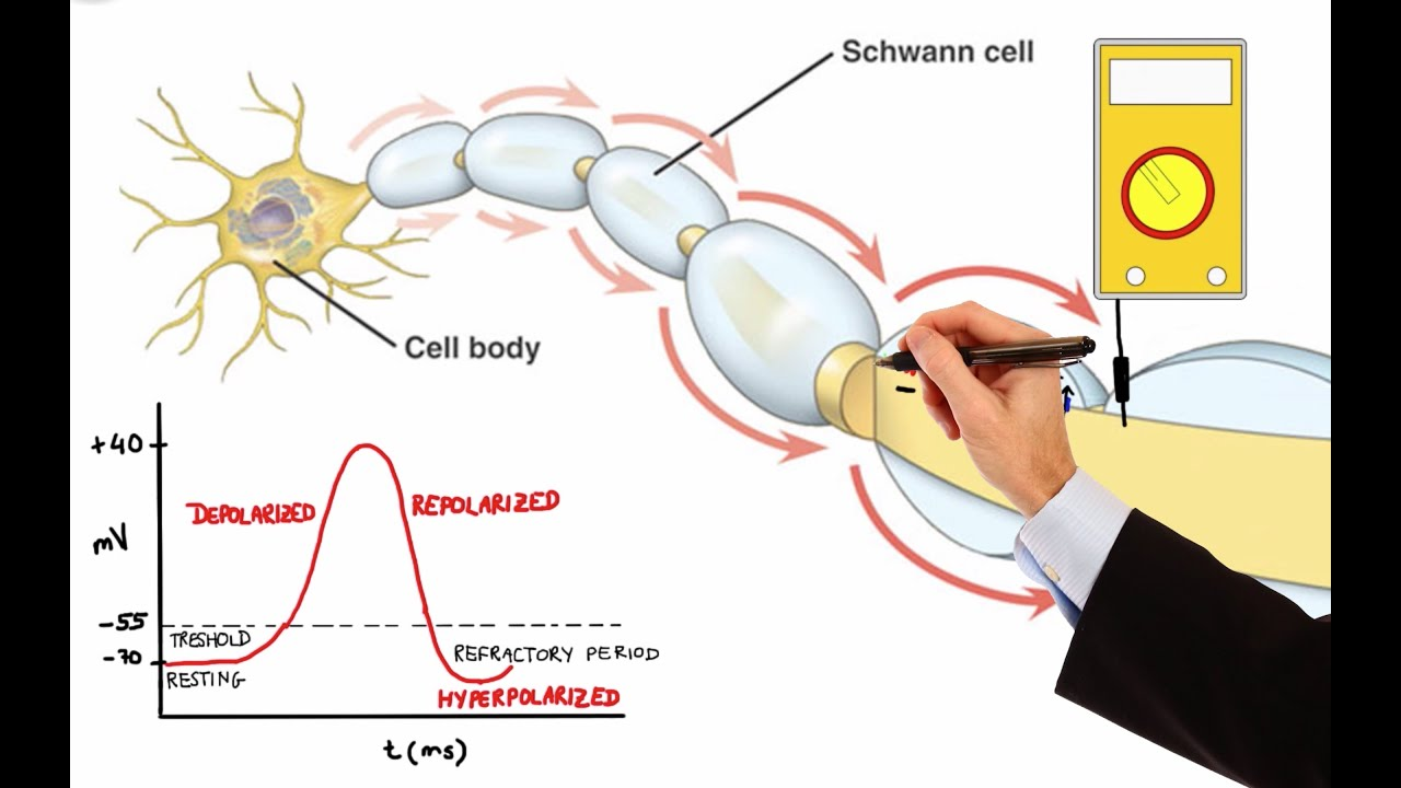 <p>Summation of small signals…?</p>