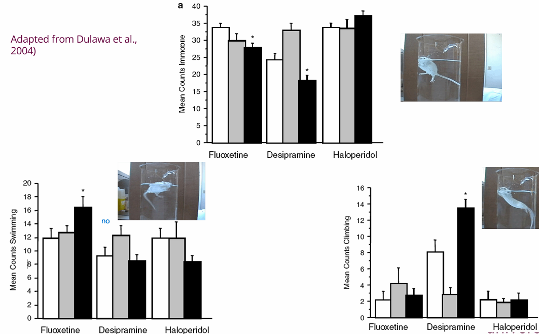 <p>Different drugs affect different behaviors. For example, fluoxetine (which targets serotonin) increases swimming, while desipramine (which targets norepinephrine) increases climbing.</p>
