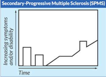 <p>What is secondary progressive MS (SPMS)?</p>