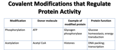 <p>Donor molecule: Acetyl CoA</p><p>Example: Histones</p><p>Function: DNA packing; transcription</p>