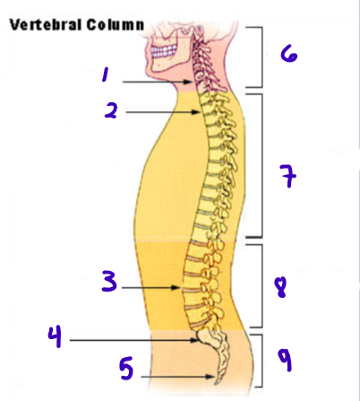 <p>4</p>