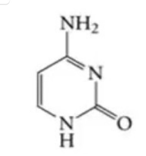 <p>Is cytosine a purine or pyrimidine base?</p>