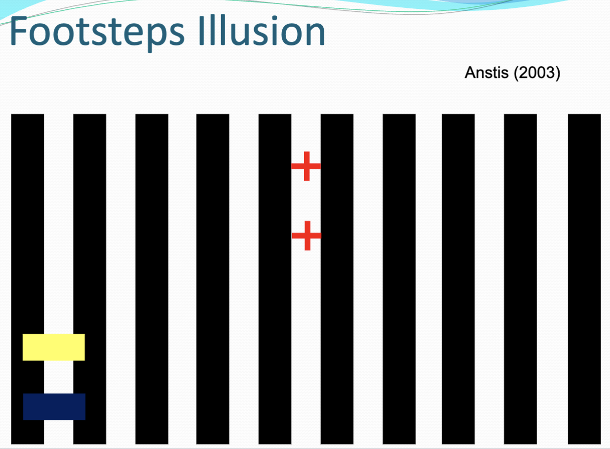 <p> inform us of the processes underlying motion perception</p><ul><li><p>eg. the Footsteps Illusion shows us that contrast affects motion perception. As the yellow and blue rectangles traverse the striped background, they appear to speed up and slow down asynchronously.</p></li></ul><p></p>