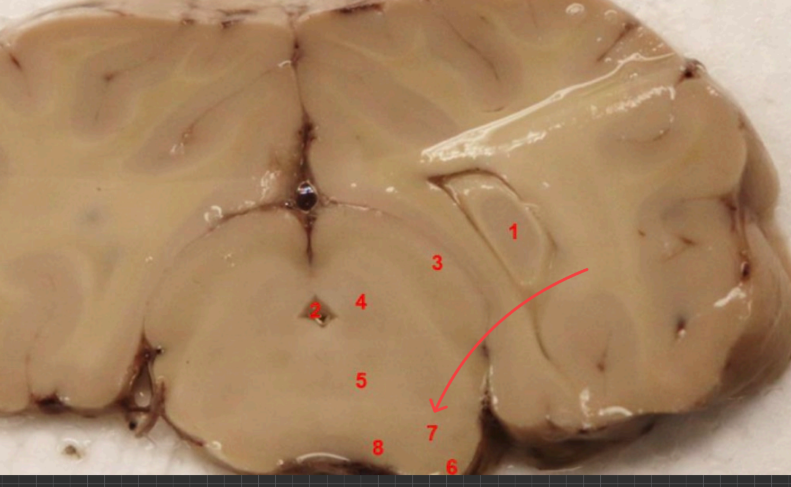 <p>what is this, function </p>