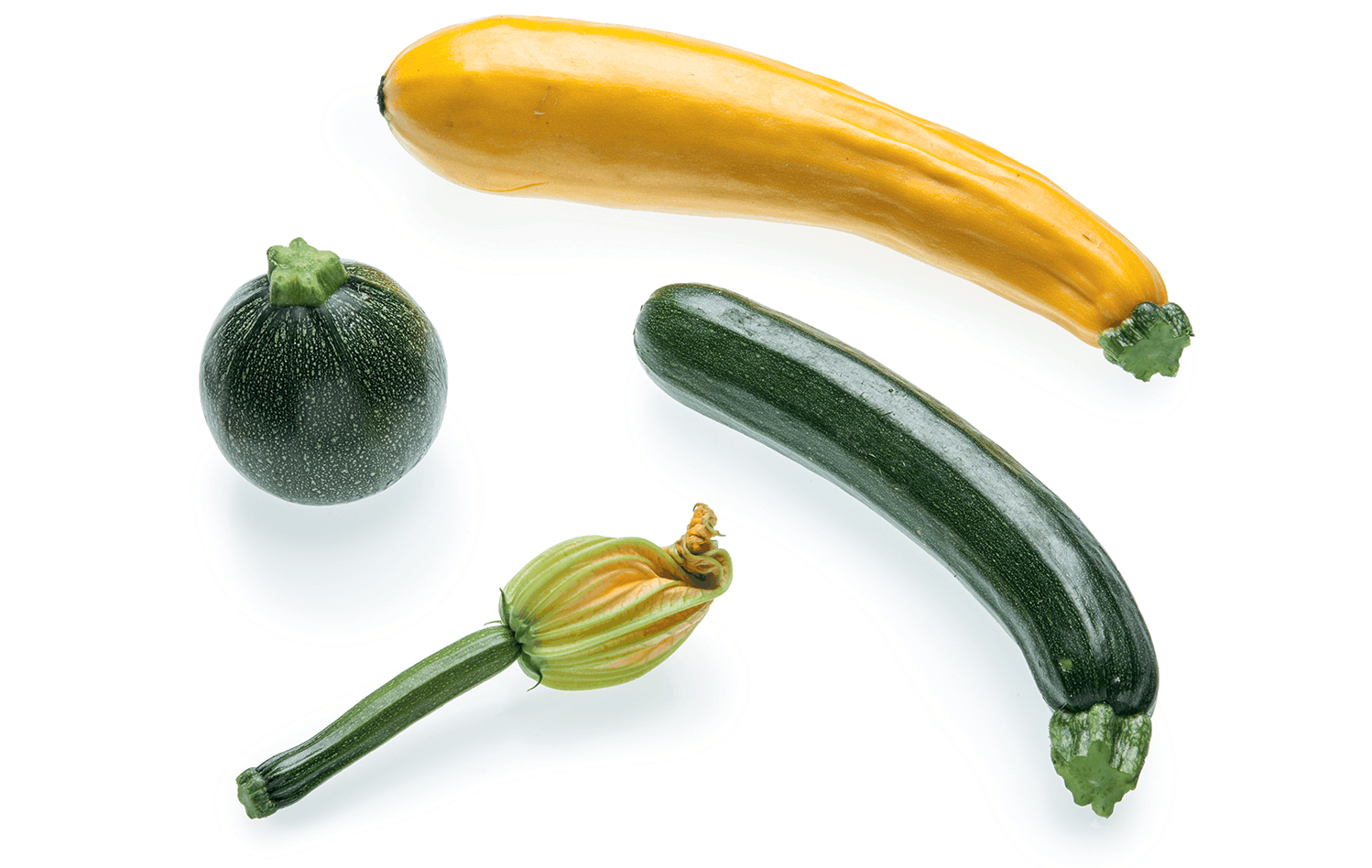 <p>Zucchini / Abobrinha</p>