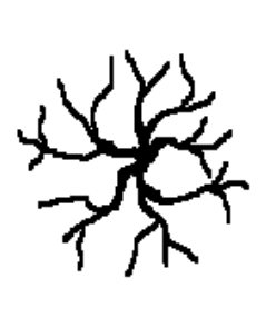 <p>what form is this?</p>