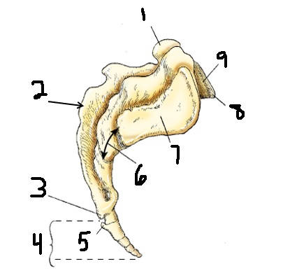 <p>3</p>