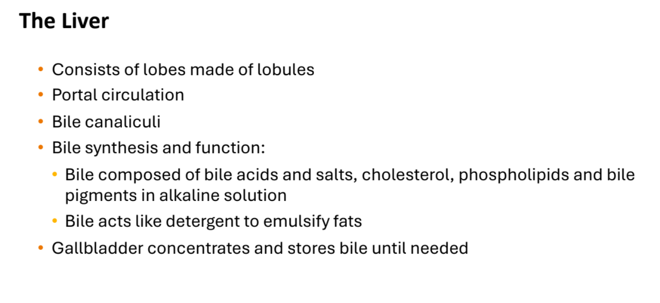 <ol><li><p>Emulsify fats</p></li><li><p>Gallbladder</p></li></ol><p></p>