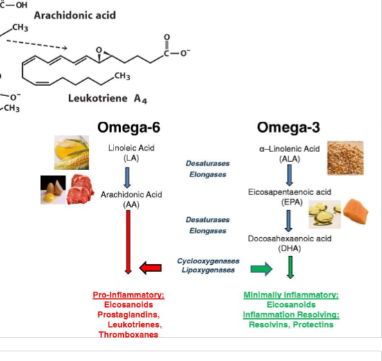 <p>What are eicosanoids?  What effects do they have?</p>