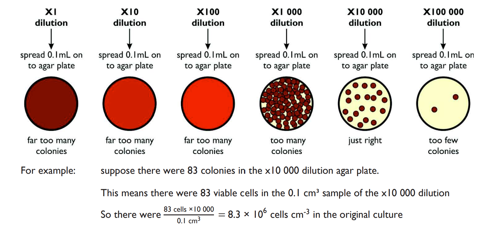 <p>which one of these would be a suitable dilution plate. </p>