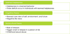 <p>-cognitive theory (skewed core view of self/ environment/ future) </p><p>-negative life views </p><p>-sociocultural theory (stressors)</p>