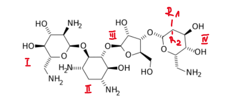 <p>pozyskiwana z Streptomyces fradiae</p><p>Neomycyna B R1 -CH2NH2 R2 -H</p><p>Neomycyna C R2 -H R1 -CH2NH2</p>