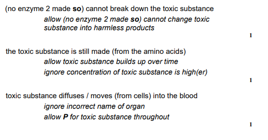 <ul><li><p>No enzyme 2 is made so they cannot break down the toxic substance.</p></li><li><p>The toxic substance is still made from the amino acids.</p></li><li><p>The toxic substance diffuses from the cells into the blood.</p></li></ul><p></p>