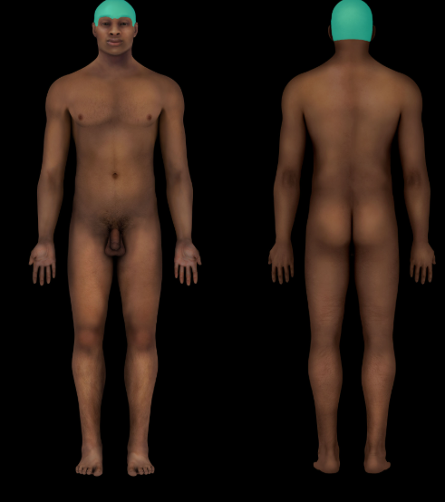 term image