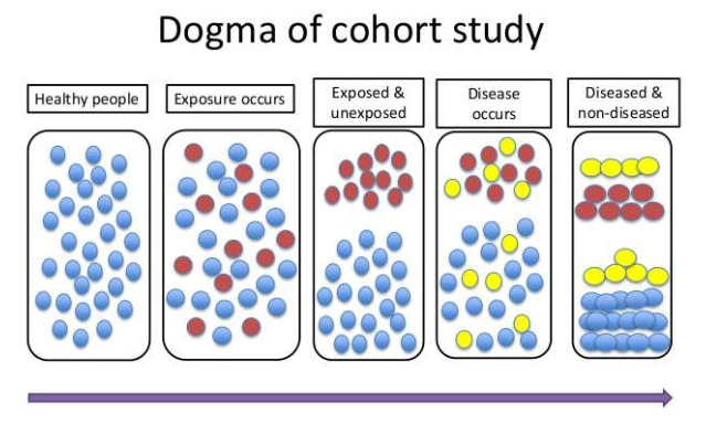 <p>1. Identify a study population initially without the outcome.</p><p>2. Classify participants as exposed or unexposed.</p><p>3. Follow both groups over time.</p><p>4. Determine who develops disease or another outcome.</p><p>5. Compare outcome incidence between groups.</p><p>6. Associate higher incidence with increased risk from the exposure.</p>