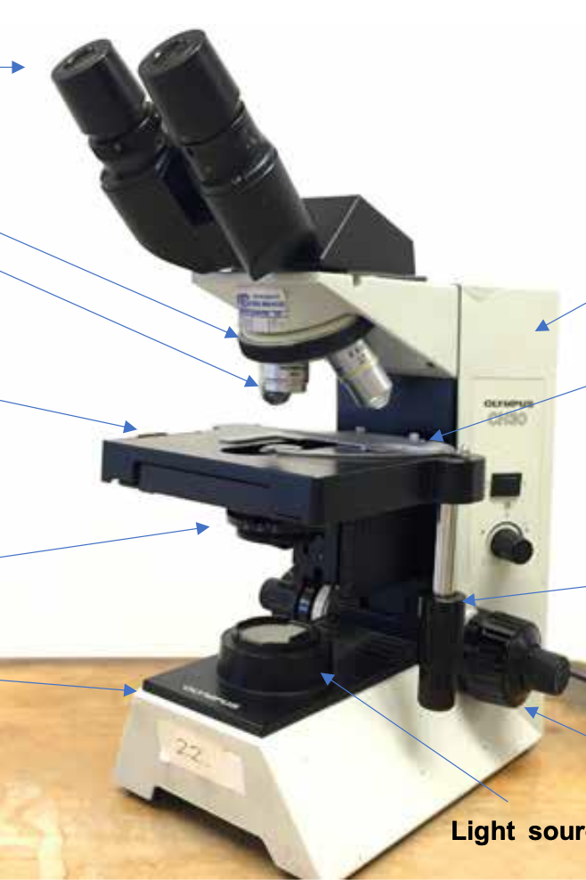 <p>Objective Lenses (Types)</p>