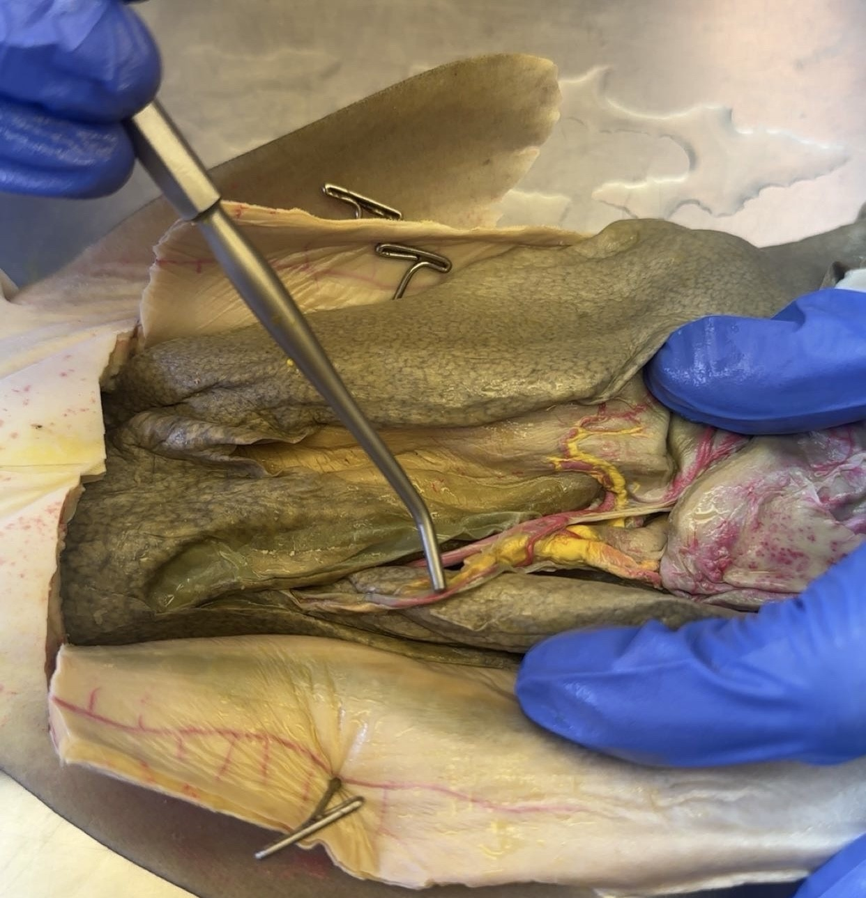 <p>what is this?</p>