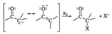 <p>identify the mechanism</p>